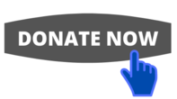 donate now, blue hand icon over a donate button